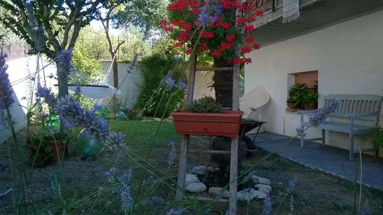 B&B Teranga Montecarotto Exterior photo